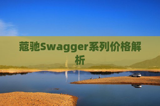 蔻驰Swagger系列价格解析
