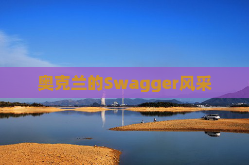 奥克兰的Swagger风采